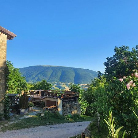 Le Ginestre Guesthouse Assisi Exteriör bild