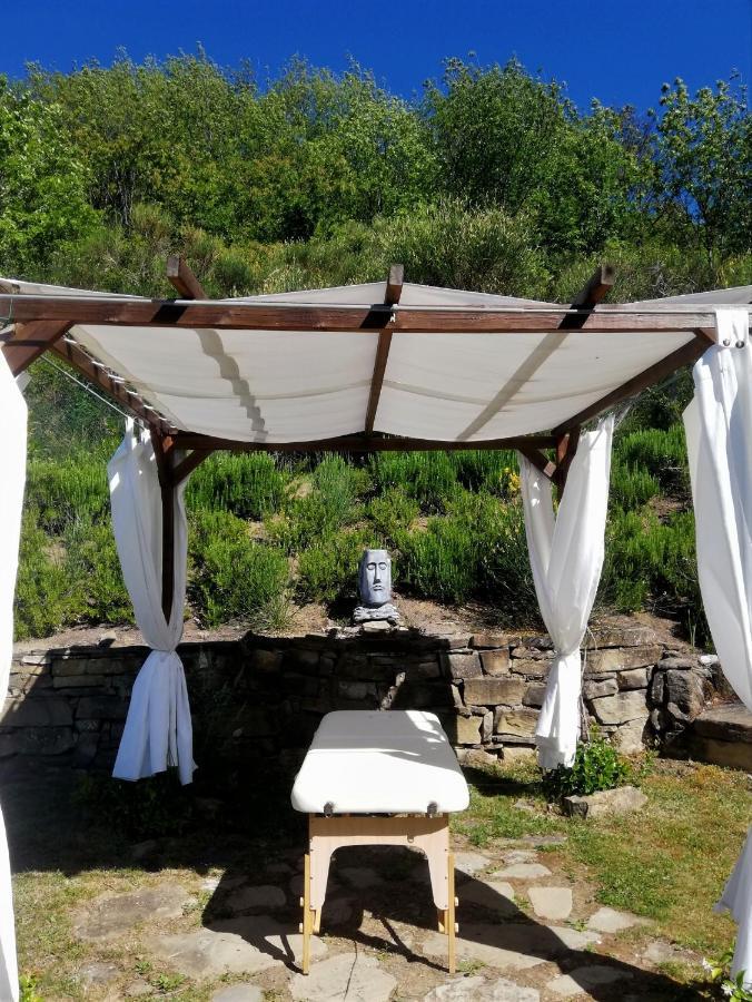 Le Ginestre Guesthouse Assisi Exteriör bild
