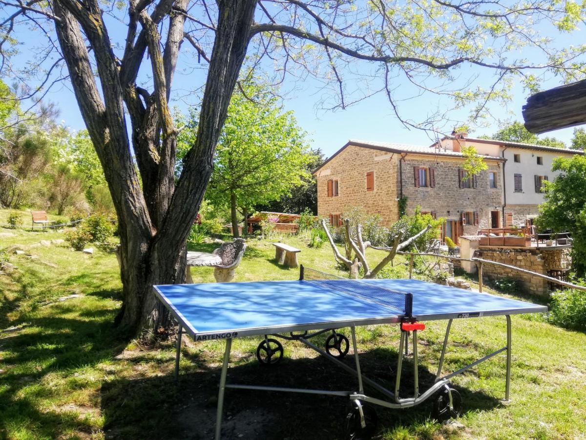 Le Ginestre Guesthouse Assisi Exteriör bild